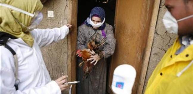 ظهور بؤرة لإنفلونزا الطيور في إحدى قرى الشرقية